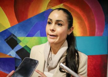 CEDHZ, ¿cuota política u organismo verdaderamente autónomo?