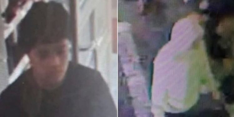 Identifican a «El Cuate» como presunto responsable del homicidio de Manzo; Vinculan crimen a Cártel Jalisco